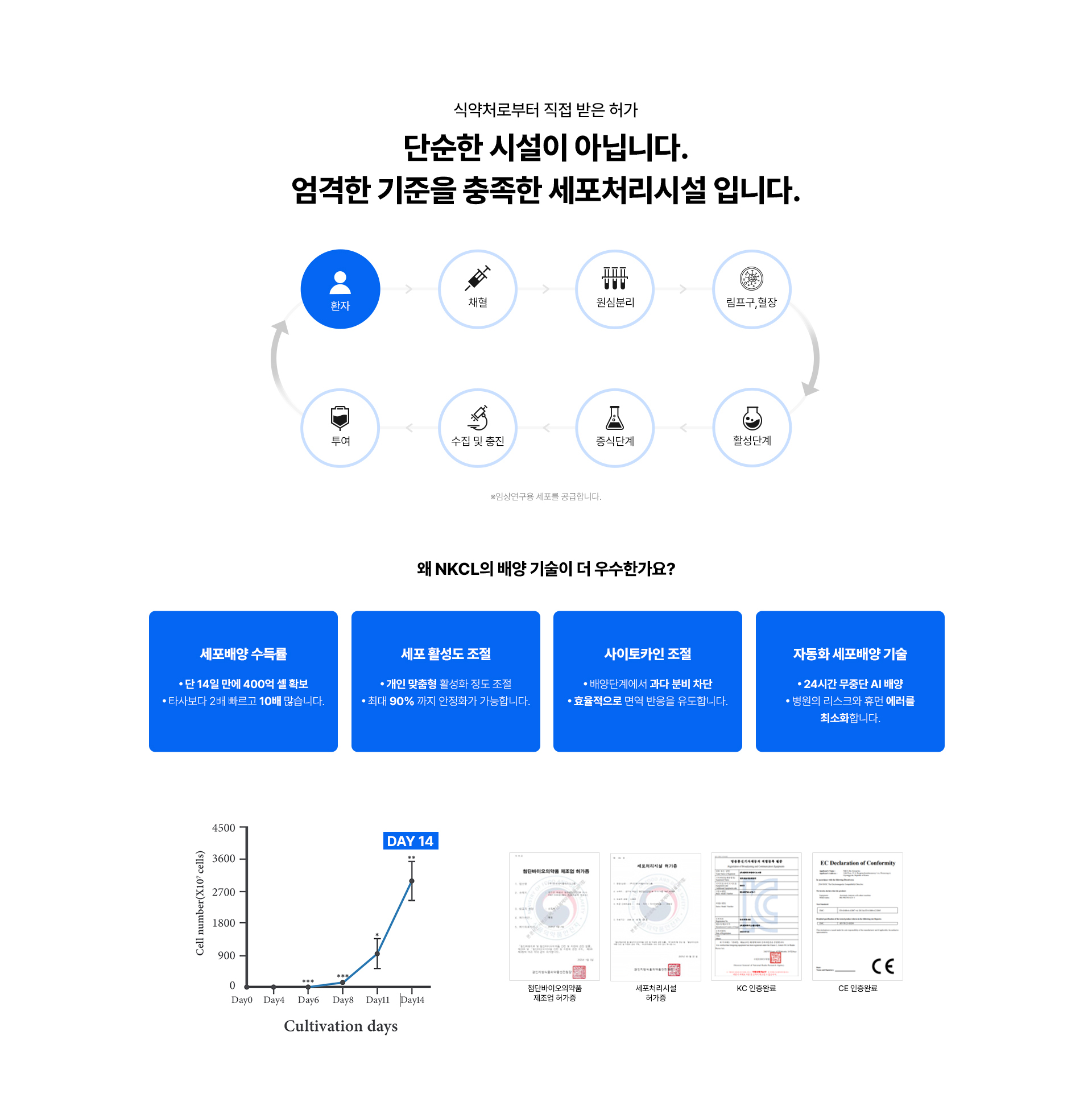 NKCL, 세포배양, NKCL_배양기술